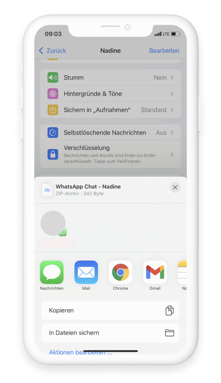 Exportiere WhatsApp Chat können durch die Auswahl von "Mail" per Mail versandt werden