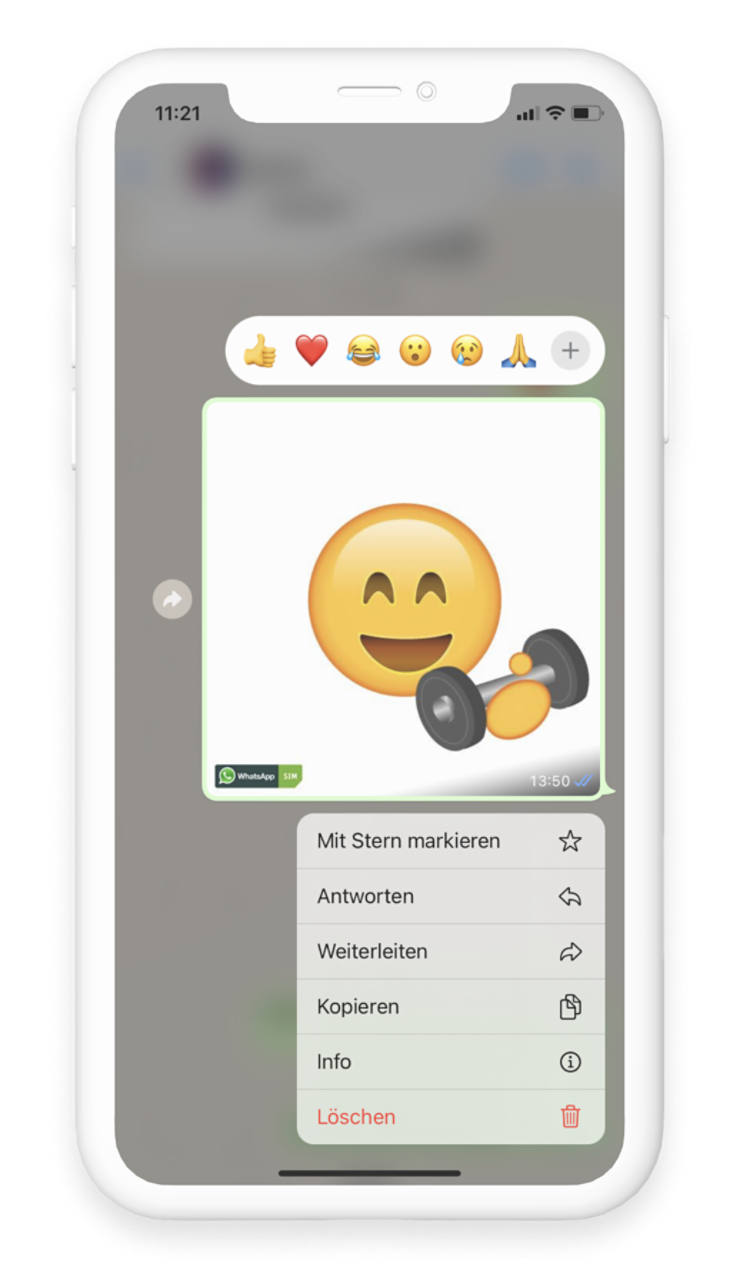 WhatsApp Chat mit markiertem gesendetem Bild und Optionen Kopieren, Info, Löschen