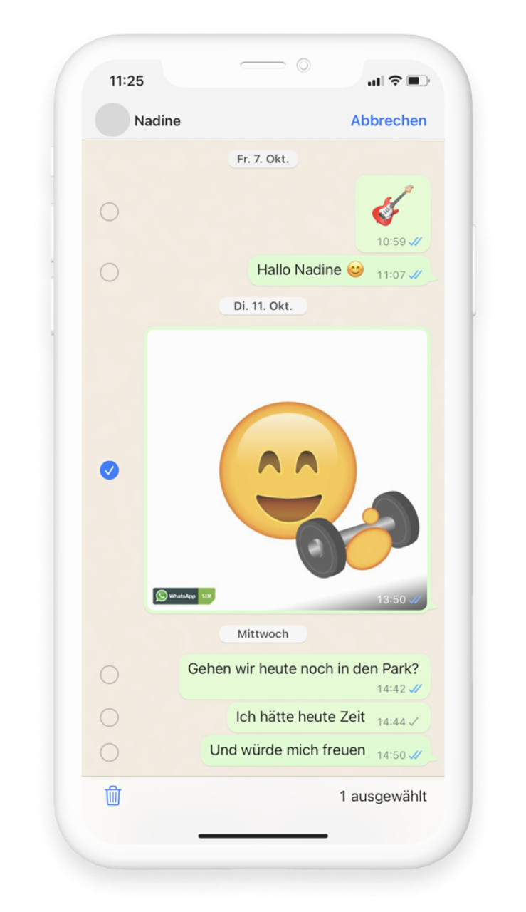 WhatsApp Chat mit gesendetem Bild, durch blauen Hacken ausgewählt 