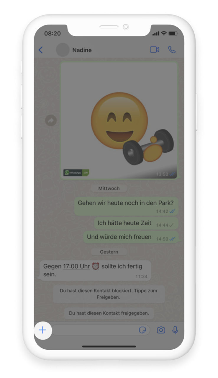 WhatsApp Chat Fenster, Pop-up Fenster offen mit Versandoptionen von verschiedenen Medien